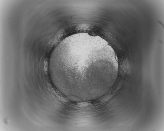 X0000099300708200805301133
