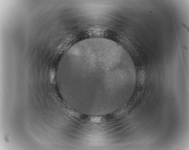 X0000099300709200805301133