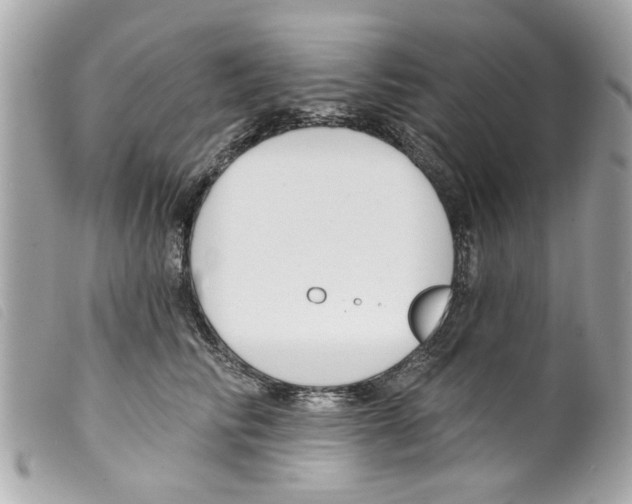 X0000099300710200805301133
