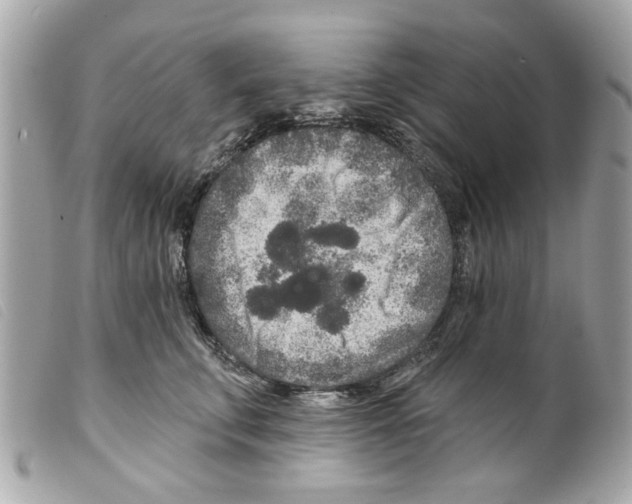 X0000099300711200805301133