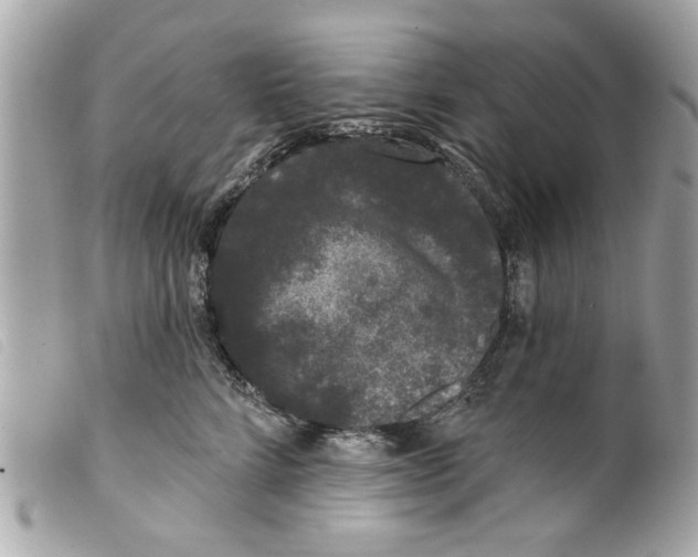 X0000099300712200805301133