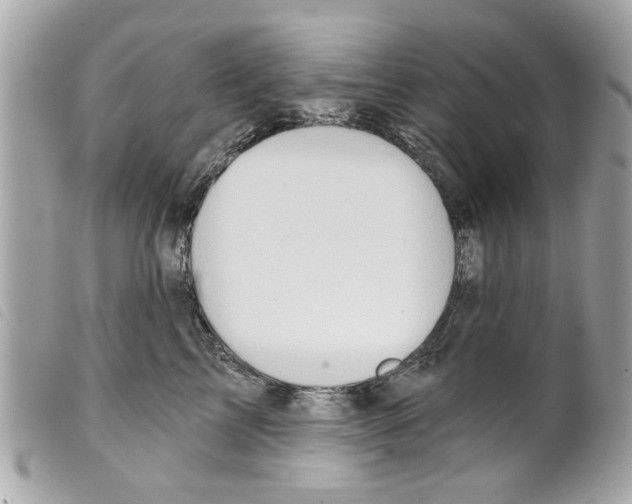 X0000099300713200805301133