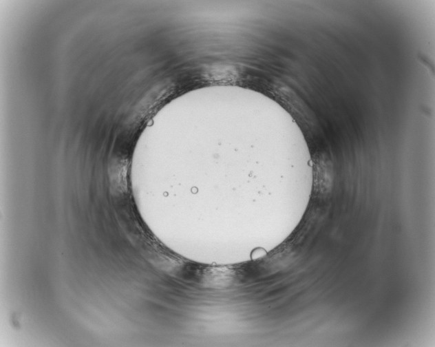 X0000099300717200805301133