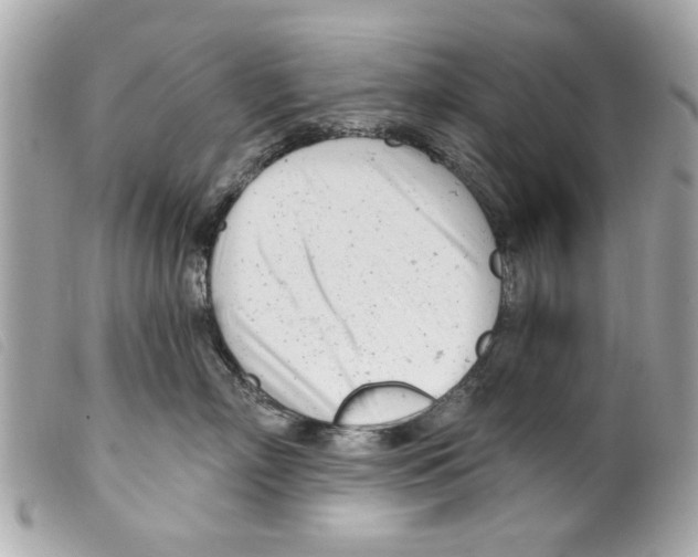 X0000099300718200805301133