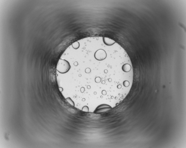 X0000099300719200805301133