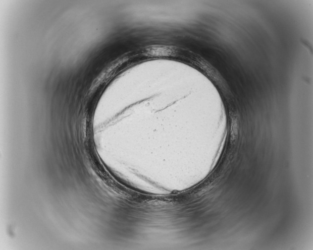 X0000099300722200805301133