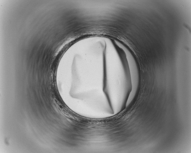 X0000099300723200805301133