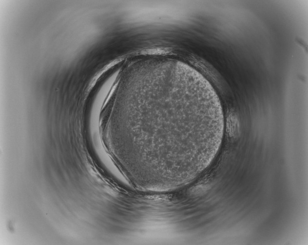 X0000099300724200805301133