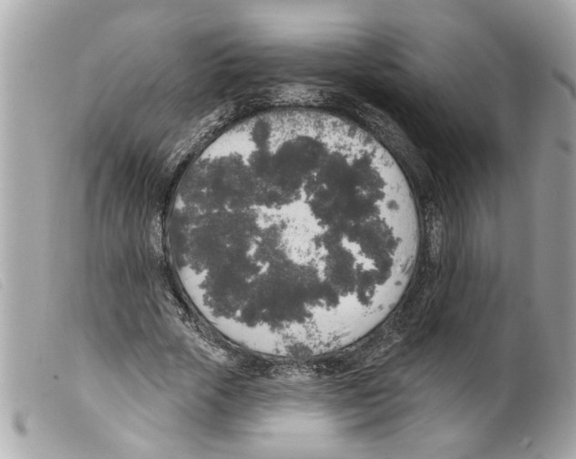X0000099300729200805301133