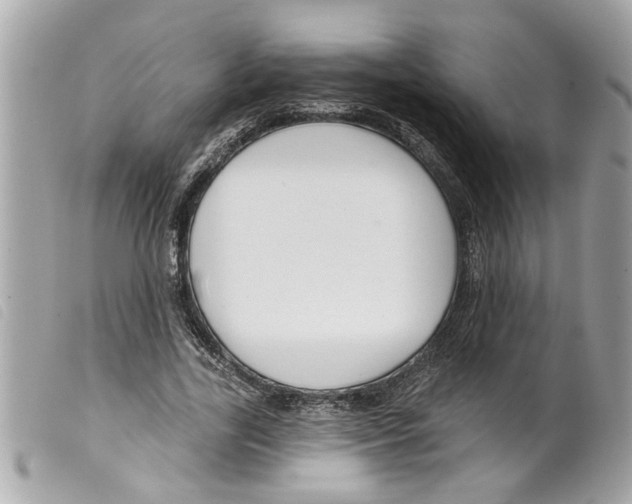 X0000099300731200805301133