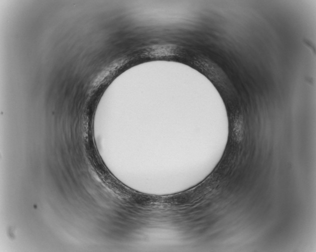 X0000099300732200805301133