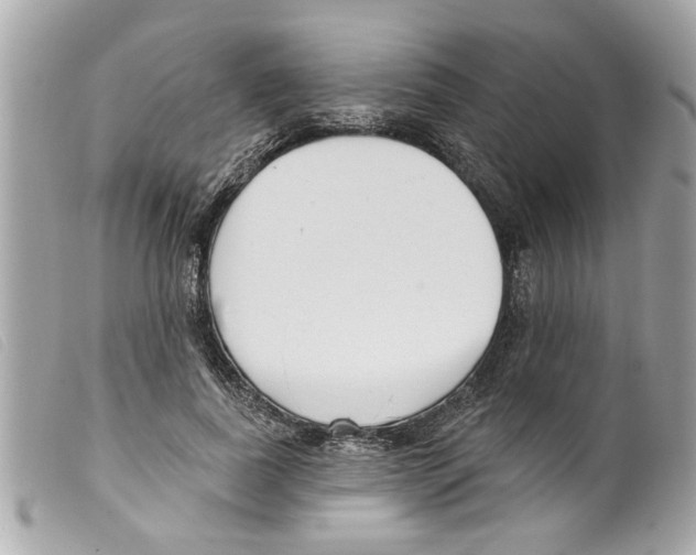 X0000099300739200805301133