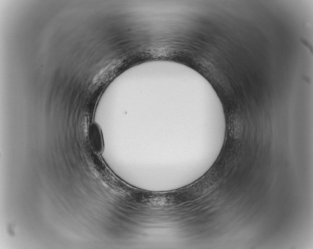 X0000099300740200805301133