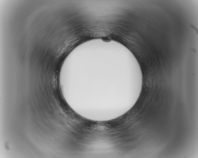 X0000099300743200805301133