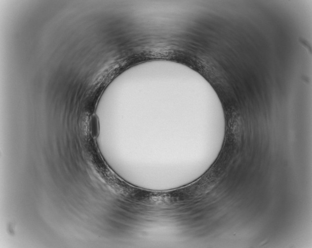 X0000099300744200805301133