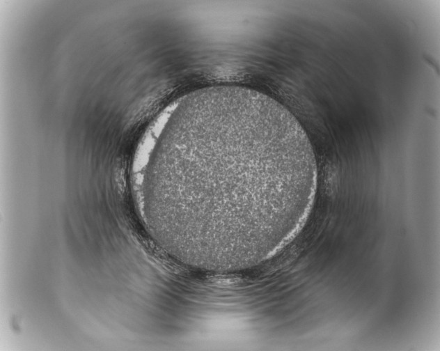 X0000099300746200805301133