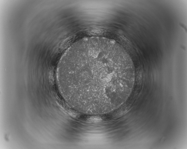 X0000099300749200805301133