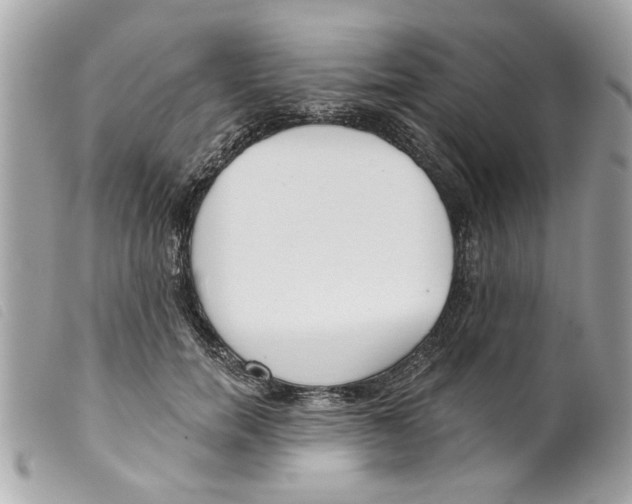 X0000099300750200805301133