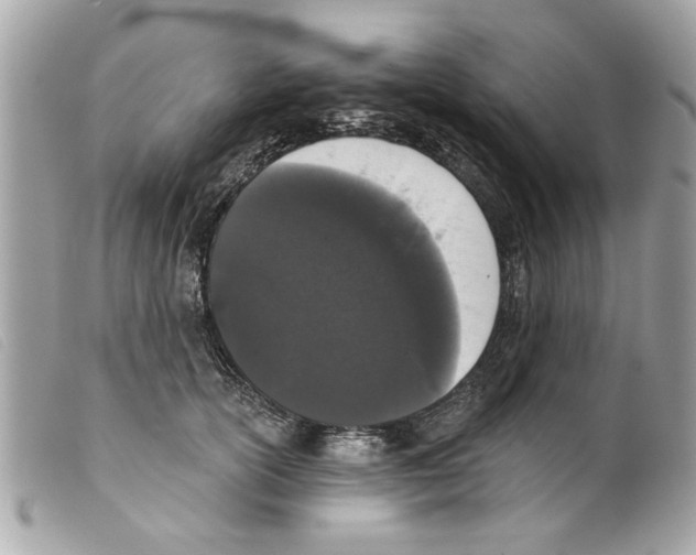 X0000099300754200805301133