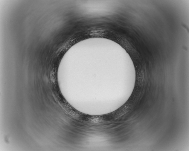 X0000099300755200805301133