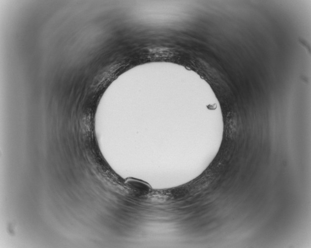 X0000099300756200805301133