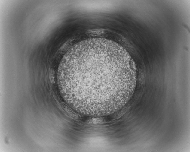 X0000099300758200805301133