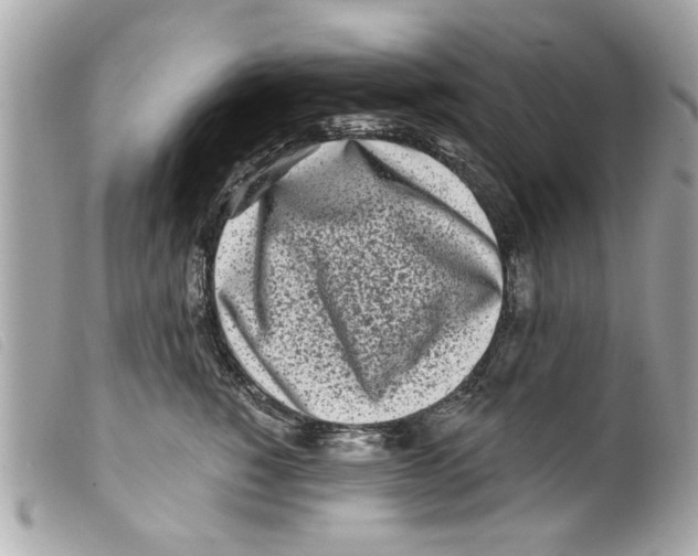 X0000099300760200805301133