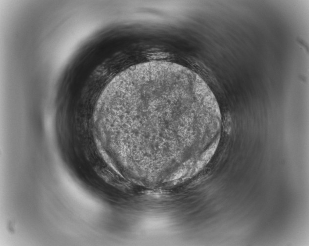 X0000099300763200805301133