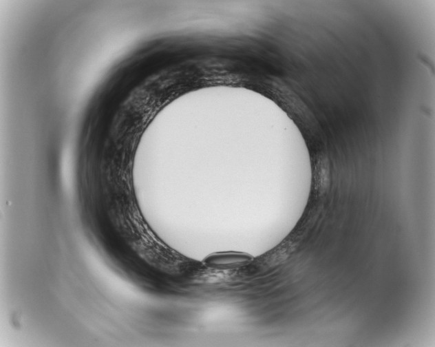X0000099300764200805301133