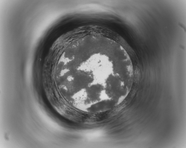 X0000099300765200805301133
