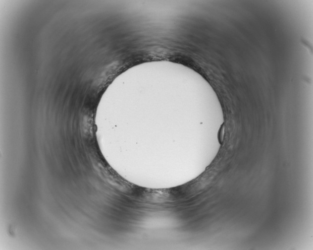 X0000099300768200805301133