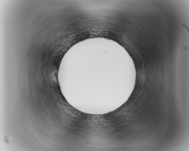 X0000099300770200805301133