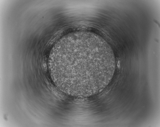 X0000099300771200805301133