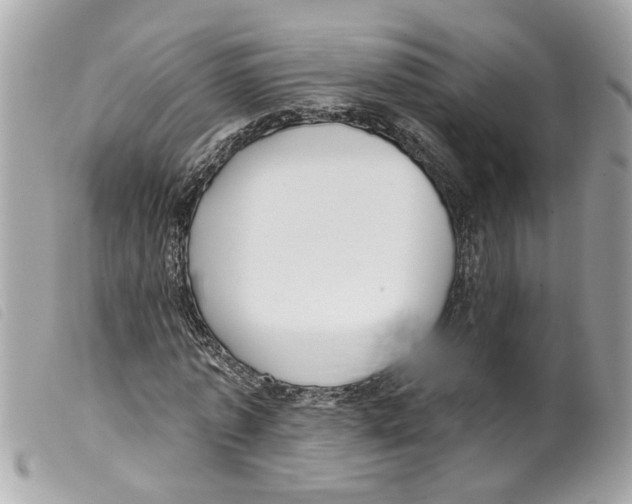 X0000099300773200805301133