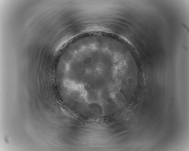 X0000099300775200805301132