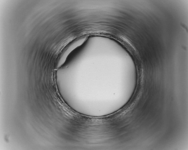 X0000099300777200805301132