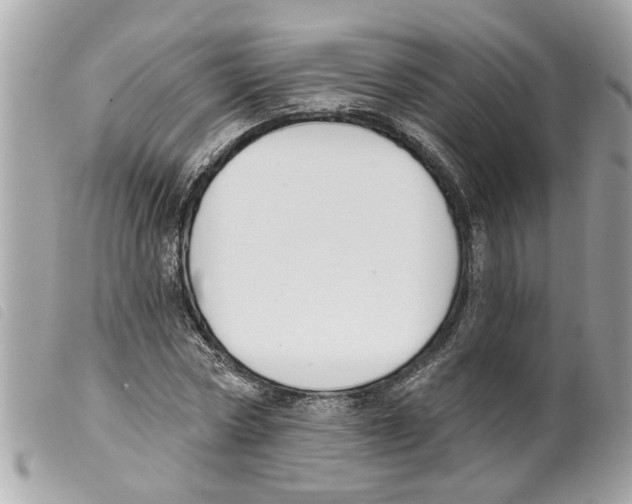 X0000099300778200805301132