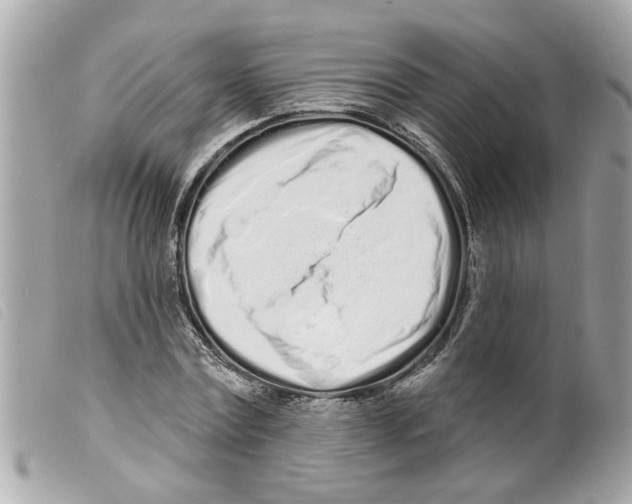 X0000099300779200805301132