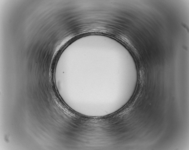 X0000099300780200805301132