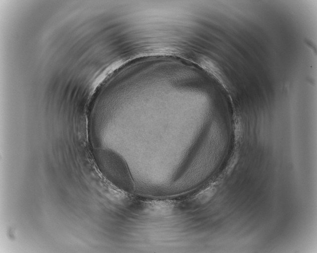 X0000099300781200805301132