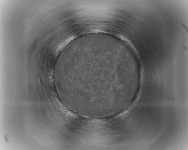 X0000099300785200805301132