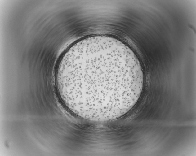 X0000099300787200805301132