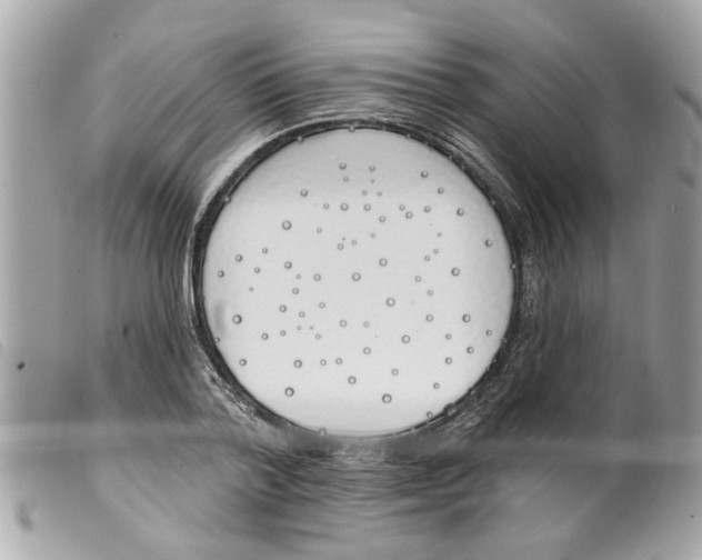 X0000099300788200805301132