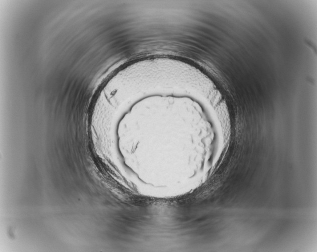 X0000099300790200805301132