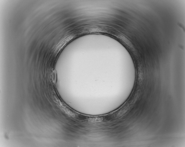 X0000099300793200805301132