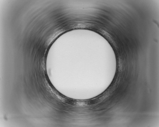X0000099300794200805301132