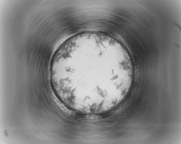 X0000099300795200805301132