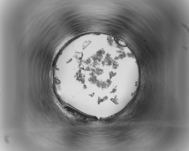 X0000099300796200805301132