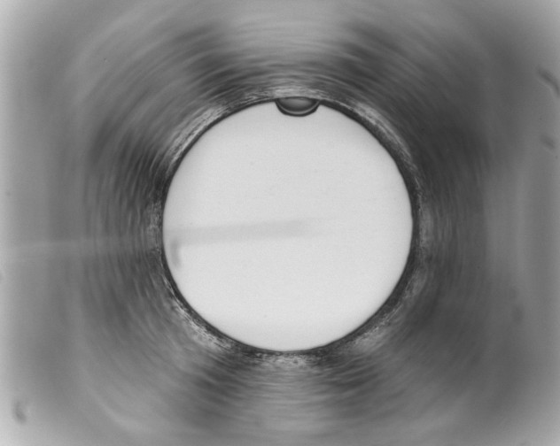 X0000099300801200805301132