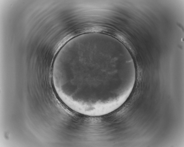 X0000099300802200805301132